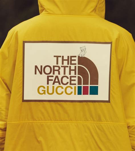 nortb face gucci|Gucci north face shop.